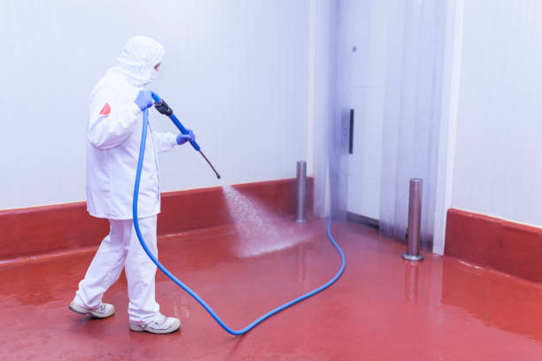 Best Soft Washing  in Asotin, WA
